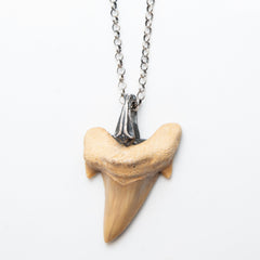 NATURAL SHARK TOOTH SILVER