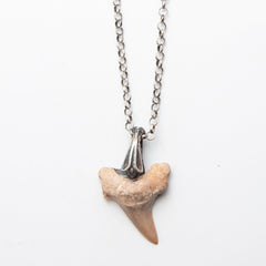 NATURAL SHARK TOOTH SILVER