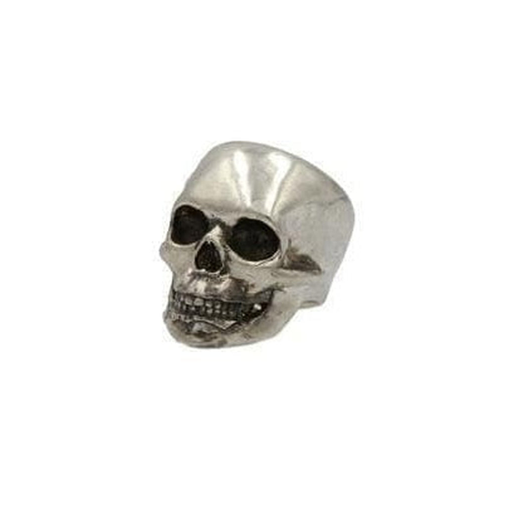 ANATOMIC SKULL HEAD - Rock and Jewel