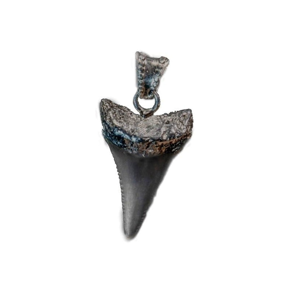 G.W. SHARK TOOTH (BLACK) - Rock and Jewel