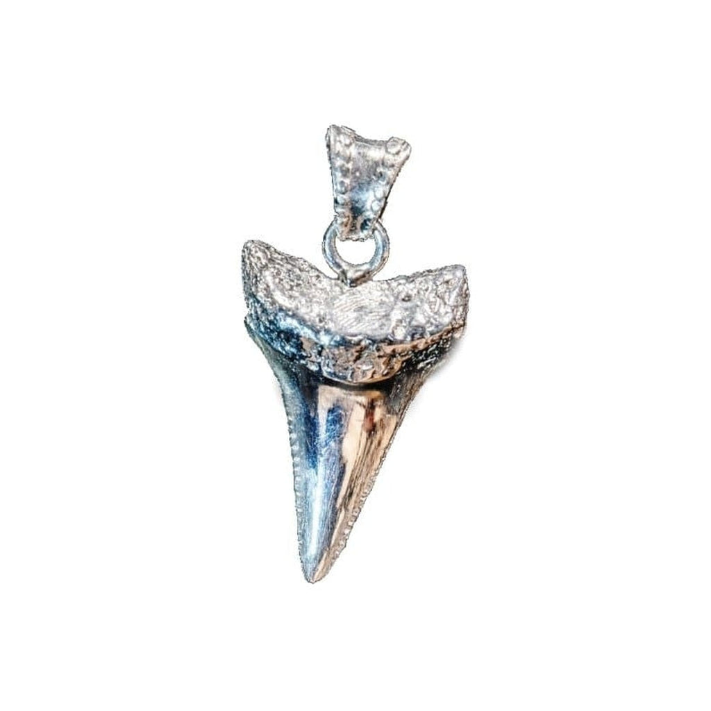 G.W. SHARK TOOTH (SILVER) - Rock and Jewel