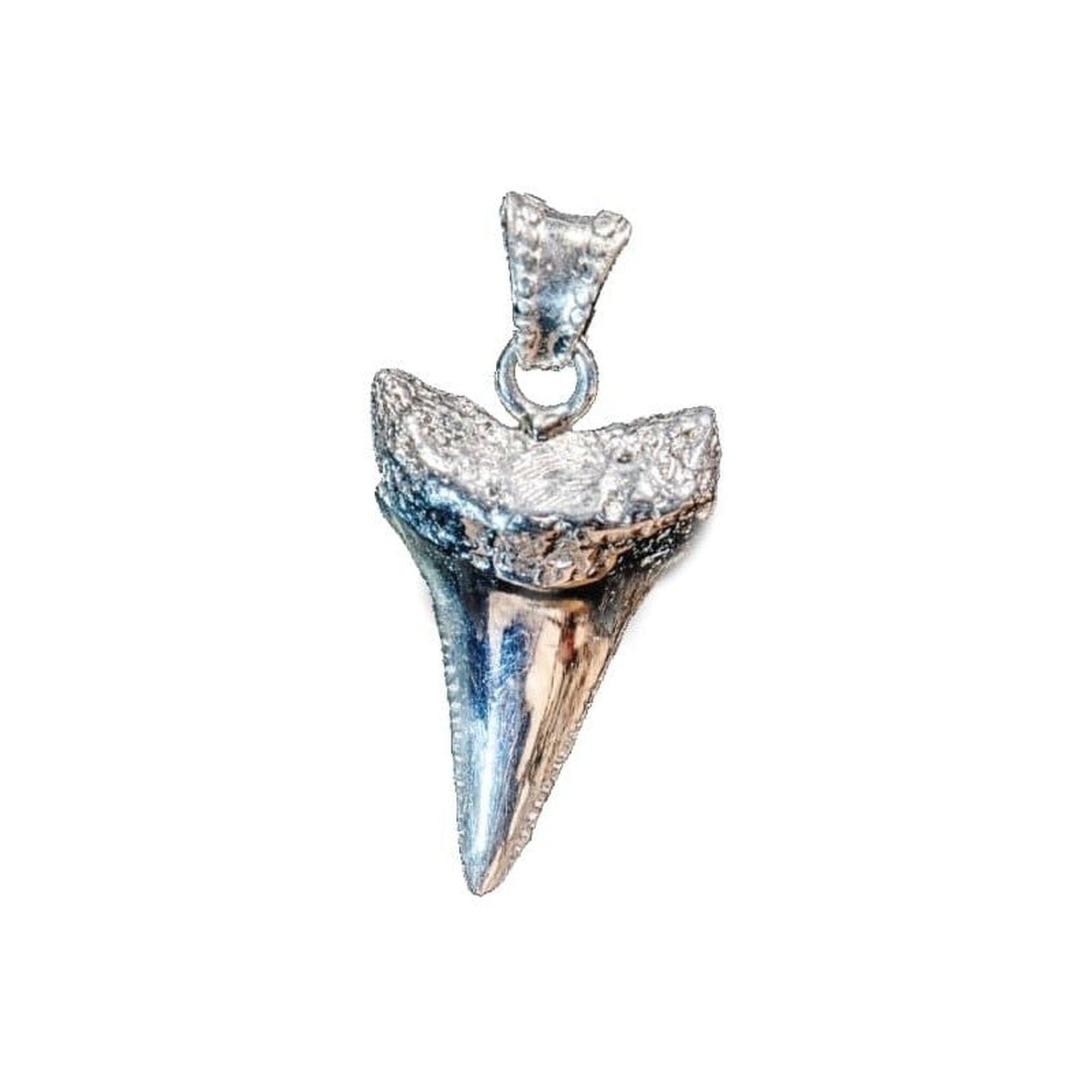 G.W. SHARK TOOTH (SILVER)