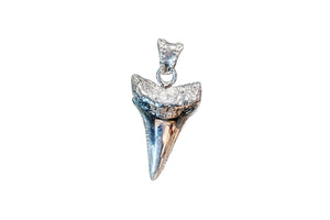 G.W. SHARK TOOTH (SILVER) - Rock and Jewel