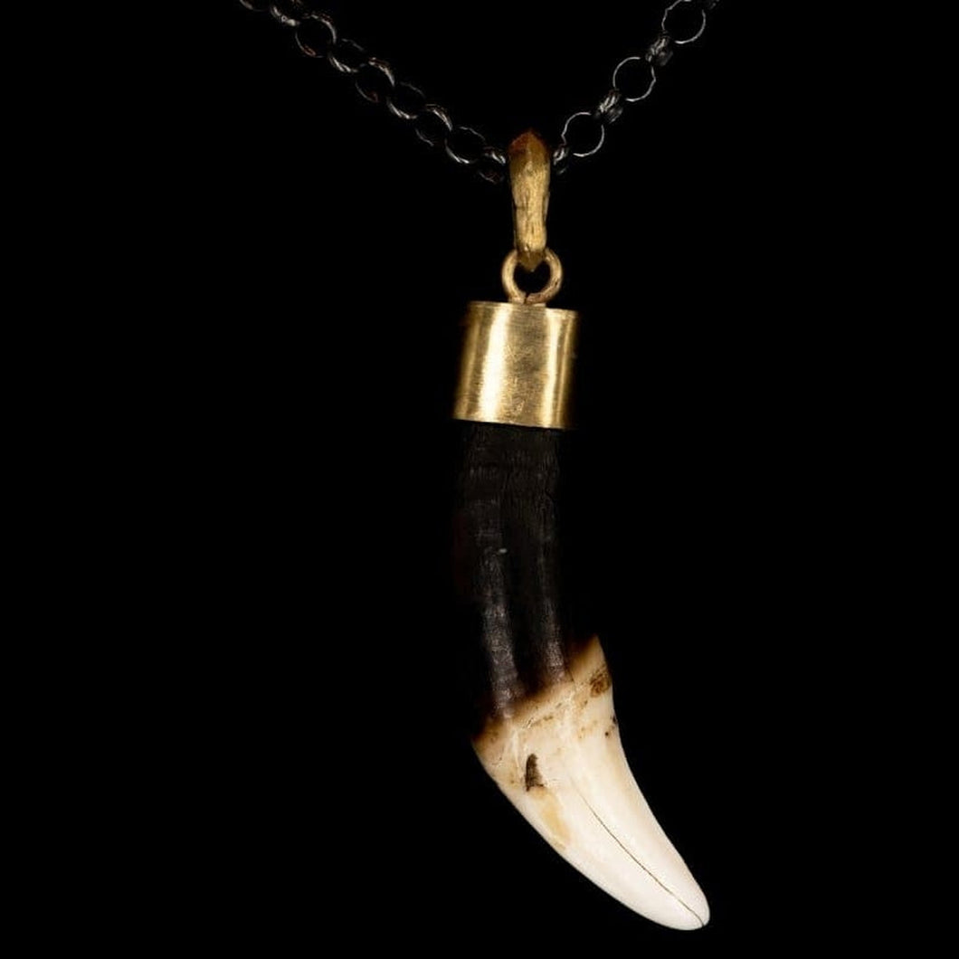 NATURAL WHITE & BROWN TUSK LIGA - Rock and Jewel